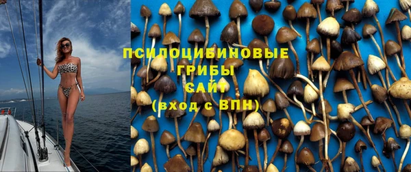 трава Нязепетровск
