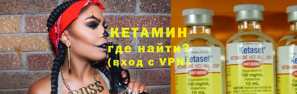 гидра Тында